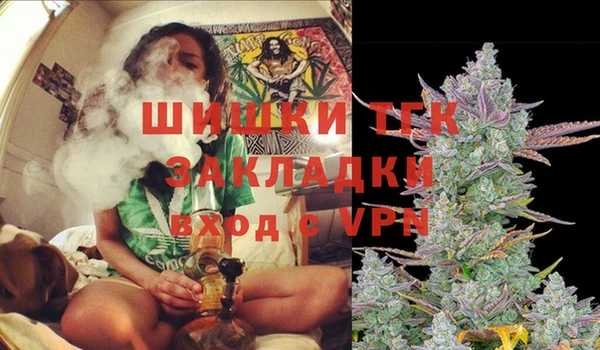 дмт Заводоуковск