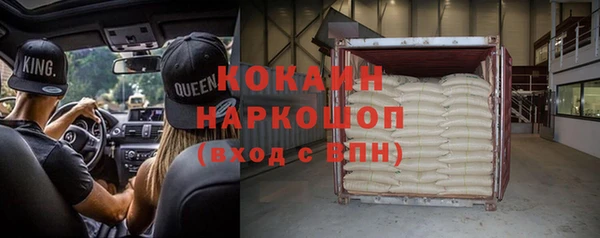 дмт Заводоуковск