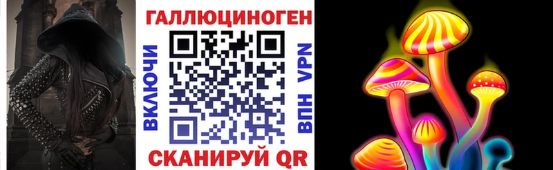 Псилоцибиновые грибы Psilocybe  Старая Купавна 