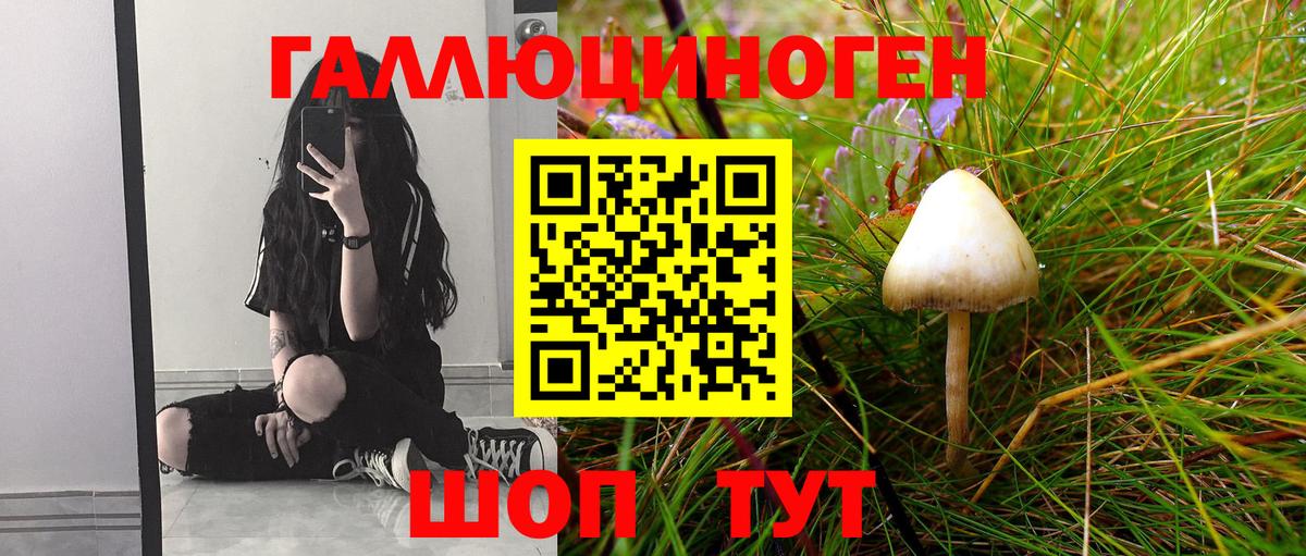 Псилоцибиновые грибы Psilocybe Старая Купавна