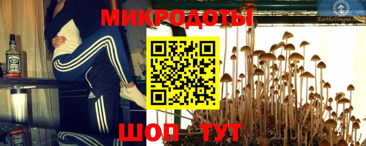 Псилоцибиновые грибы ЛСД  Вход с VPN  Старая Купавна  Галлюциногенные грибы мухоморы 